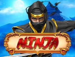 The Ninja screenshot